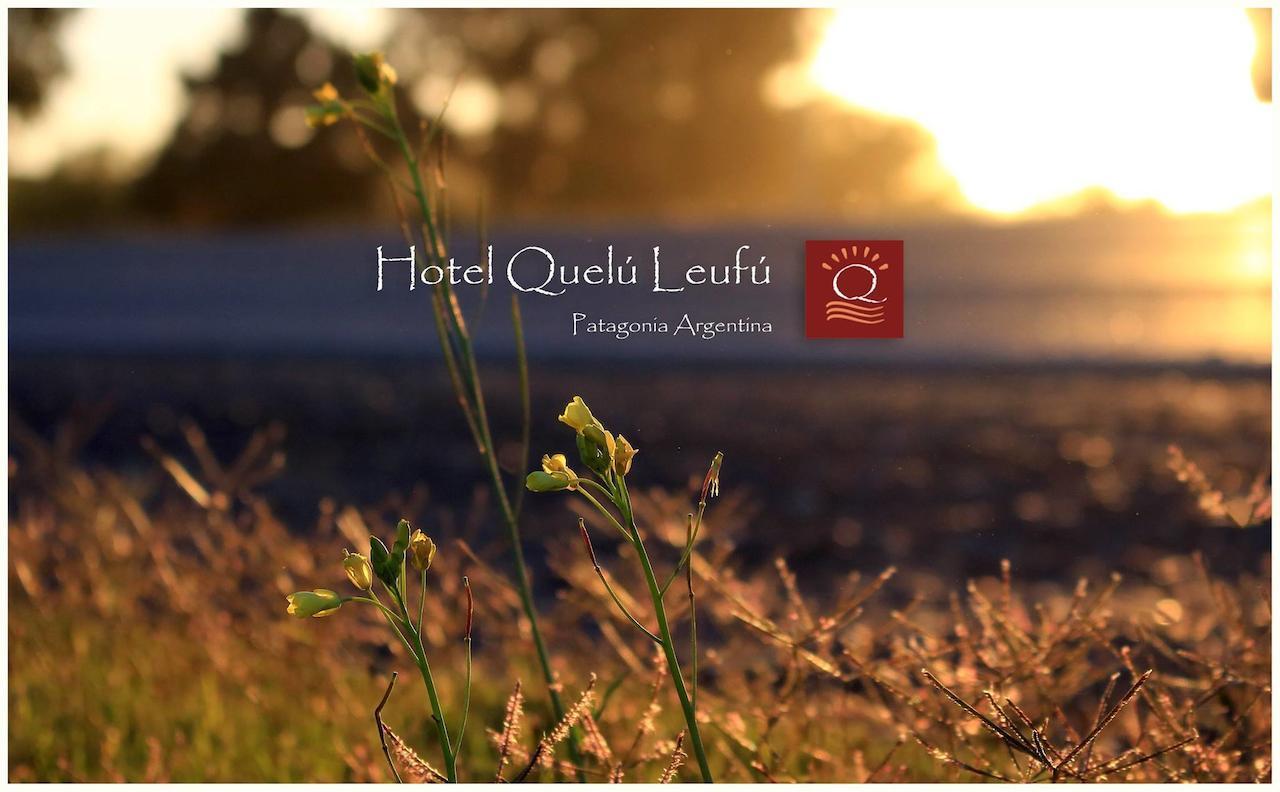 Hotel Quelu Leufu Río Colorado Extérieur photo